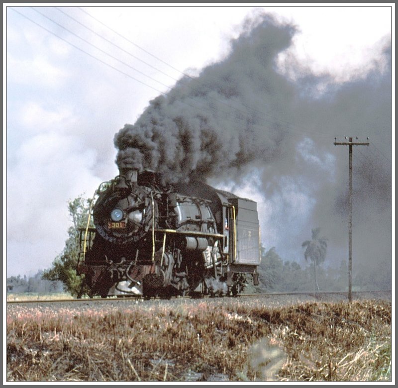 Mit Volldampf voraus. 301 auf berfhrungsfahrt bei Tubarao. (Archiv 04/1981)