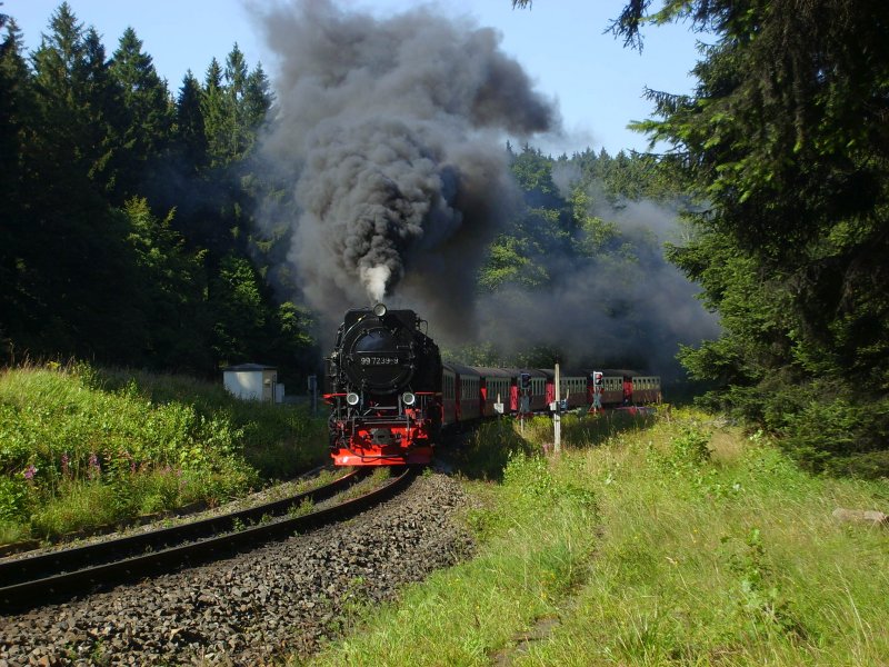 Mit Volldampf, den die Zge auf diesem Anstieg auch brauchen geht es nun in den Nationalpark den brocken nach oben
5.8.2007, 16.30
Zuglok ist die 99 7239-9