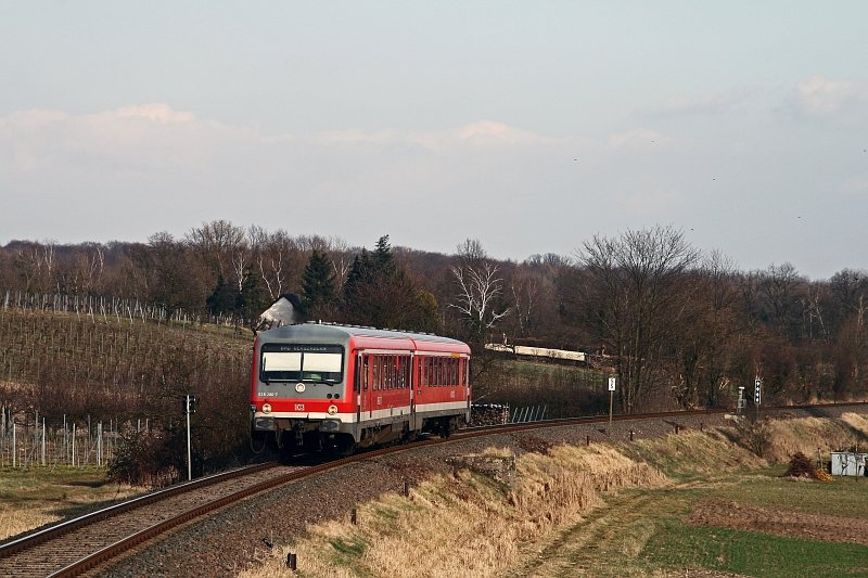 Mitten durch die Weinlandschaft der Sdpfalz verluft die Kurbadlinie nach Bad Bergzabern. RB 18572 ist am 7. Mrz 2009 bei Barbelroth unterwegs.