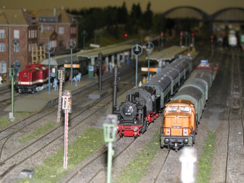 Modellbahn-Anlage des Karow-Lbzer-Modellbahnclub, Plau am See 08.08.2009