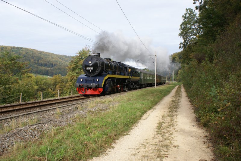 Modern Steam am Hauenstein mit der saubersten Dampflok der Welt, der 52 8055. Als sie sich am 5.10.09 die Steigung Richtung Sommerau hinaufqulen musste, rauchte sie fr ihre Verhltnisse ziemlich stark.

