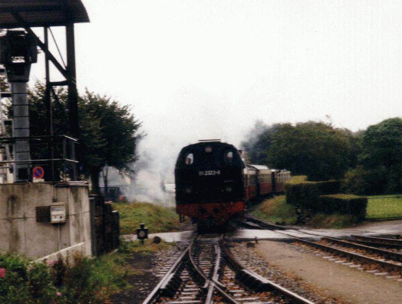 Molli bei der Einfahrt in K�hlungsborn-West