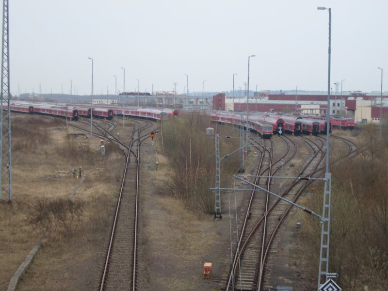 Mukran am 11.04.2008.Mukran ist nicht nur als Fhrhafen bekannt sondern hier werden auch ber 30 Loks der Baureihe 232 und zahlreiche Reisezugwagen abgestellt !