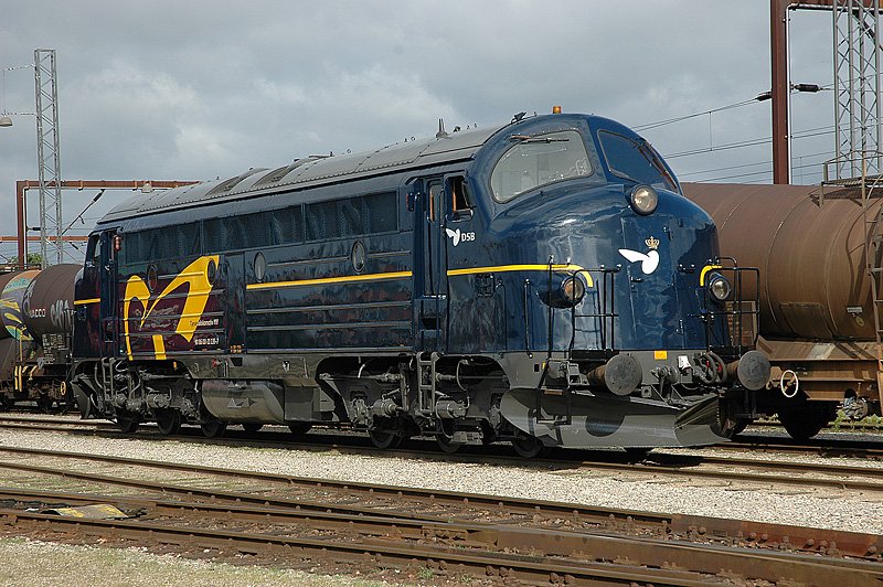 MY 1135 der Dnischen Staatsbahn prsentiert sich im besten Sonnenlicht in Odense (DK) 08-2004. Jubulumsveranstaltung 50 Jahre NOHAB in Dnemark.