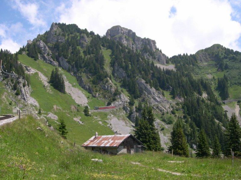 Na? Wer findet den Zug? Vom Bild eben, bis dort oben braucht der Zug gute 5 bis 8 min. Zwischen Schynige Platte Kulm und Breitlauenen am 13.07.2005