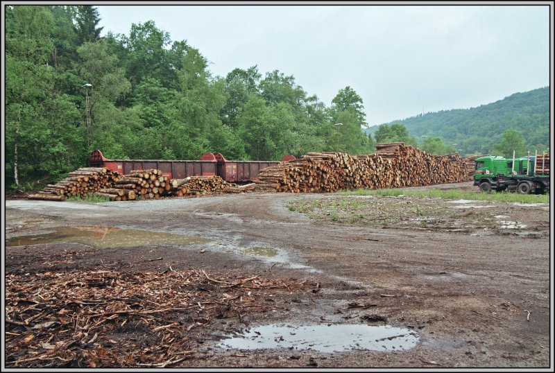 Nach dem Orkan Kyrill lie� der M�rkische Kreis am G�terbahnhof Br�gge (Westf) einen gro�en Holz-Umschlagplatz errichten. Aufgenommen am Morgen des 26.05.2007