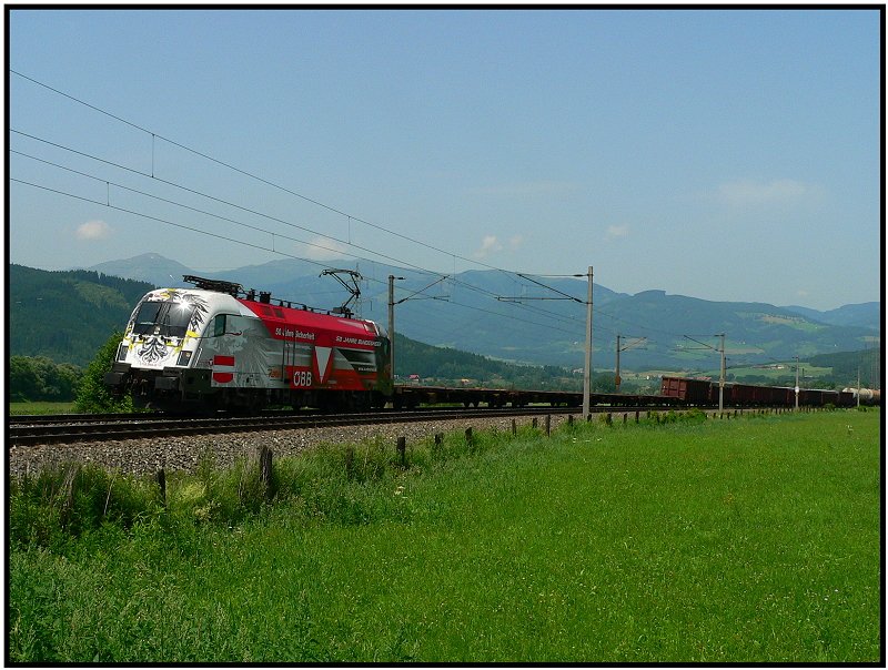 Nach einem l�ngeren Einsatz im Raum Wien durchf�hrt die 1116 246 mit einem G�terzug auch wieder einmal das Murtal. St.Magarethen 25.06.2008