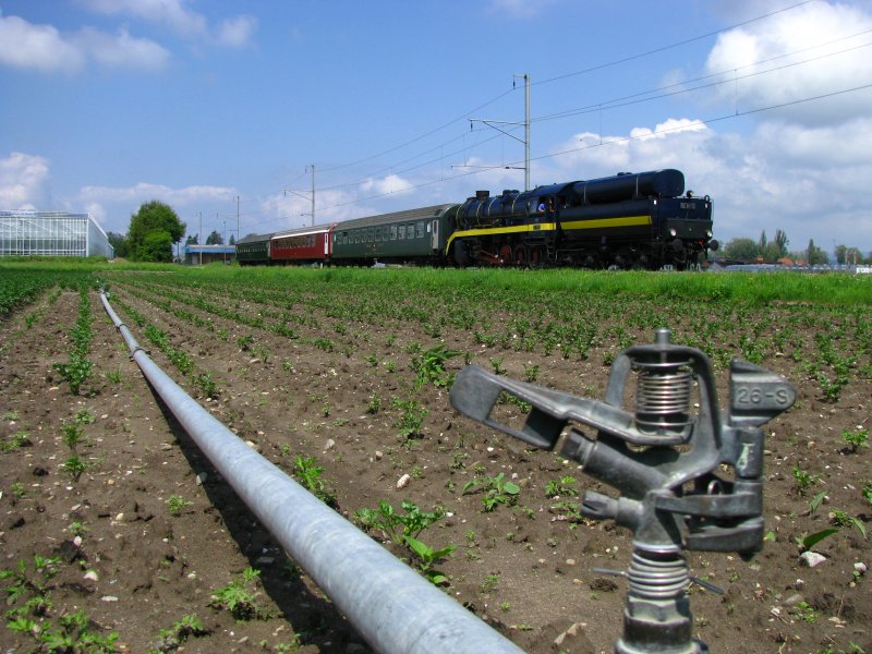 Nach den ergiebigen Regenfllen der vorletzten Nacht stehen die Kreisregner ungebraucht auf den Gemsefeldern des Tgermoos, whrend 52 8055 mit ihrem Sonderzug gegen Konstanz fhrt. (28.Juni 2009)