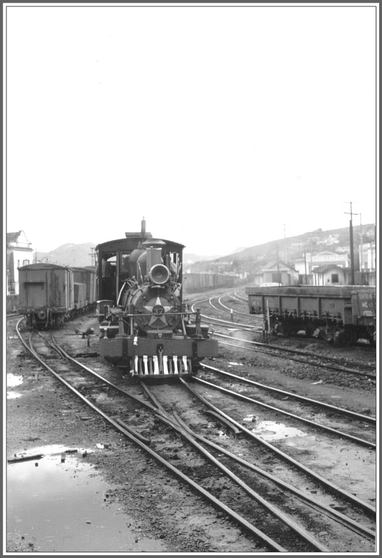 Nach den pltzlichen Platzregen wren Gummistiefel auf dem Gelnde des Bahnhofs Sao Joao del Rei ganz praktisch. Lok 37 scheint die Nsse nicht zu stren. (Archiv 03/79)