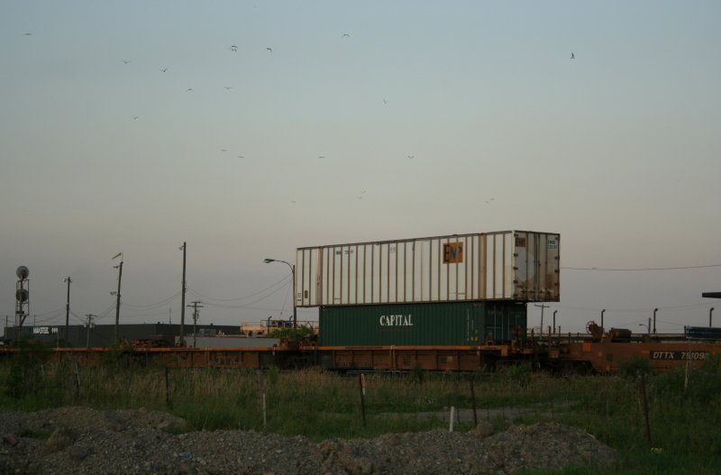 Nach ber 100 Wagen und ein paar Minuten warten am Bahnbergang kam dann diese Komposition von Containern vorbei. Da die Wagen anscheinend zu klein sind, knnen die groen Container nur auf einem kleinen Container transportiert werden. 13.8.2009 in der Torbram Road in Brampton.
