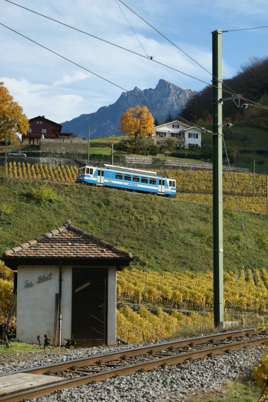 Nach einer weiteren Schlaufe in den Weinbergen hat der Zug rasch an Höhe gewonnnen und strebt nun Les Diablerets zu. 
6. November 2008