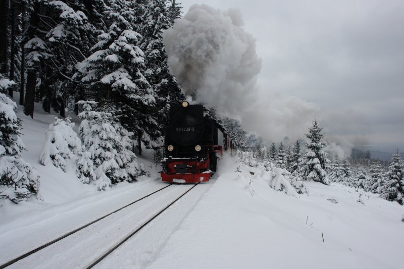Nachdem ich gestern Bilder von nicht alltglichen Szenen im Harz eingestellt habe, komme ich heute zum Regelbetrieb, den zum grten Teil die mchtigen Neubaudampfloks der Harzer Schmalspurbahn tglich bestreiten. Auf gut 800m ber NN hat es 99 7239 schon geschafft. Nun mssen nochmal ber 300m an Hhe berwunden werden, bis der Zug den Brocken erreicht hat. (23.03.08)