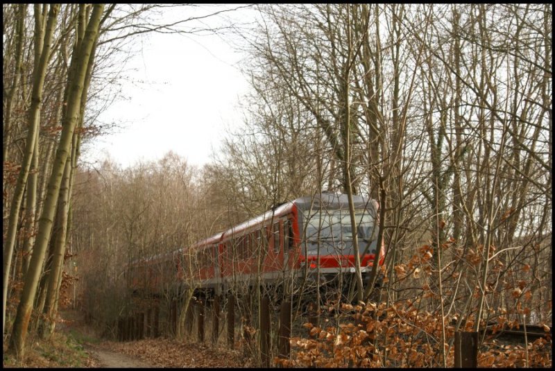  Nachschuss  auf ein  628er-Doppel mit dem Zielbahnhof Bad  Kleinen am 3.2.2008 kurz vor dem Erreichen des Bahnhof Bad Malente-Gremsm�hlen