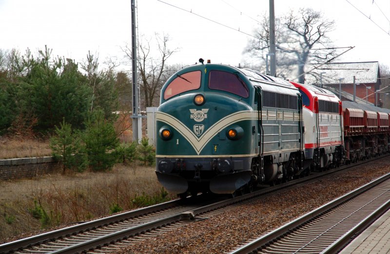 Nahaufnahme der beiden Nohab-Dieselloks bei der Durchfahrt durch Burgkemnitz. Fotogarfiert am 22.03.09. Als sie ankamen vibrierte der Bahnsteig.