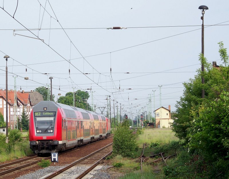  Natur Pur  in Lbbenau/Spreewald. Eine blhende Landschaft trifft hier der RE2 auf seiner Fahrt von Rathenow nach Cottbus an. 21.05.2009
