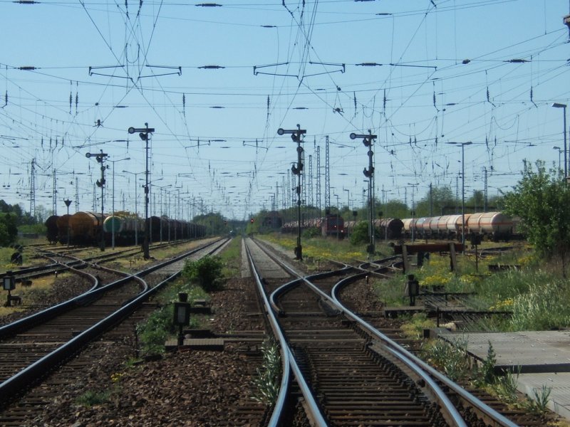 Nein,ich bin kein Selbstmordgefhrdeter,und nein,dies ist auch nicht der Bf Lutherstadt Wittenberg.Ich musste am 29.4.2007 den B am Gbf Lu.-Wittenberg - Piesteritz berfahren und hatte zufllig meine Fuzze dabei.