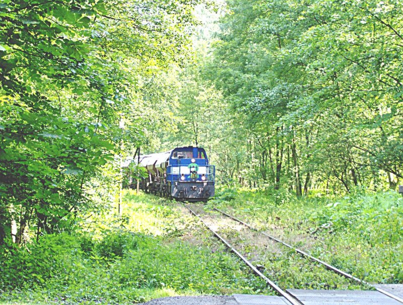 Niagzug mit Lok 2 auf der Strecke Flandersbach - Tiefenbroich
am 08.06.2007