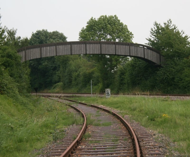 Nicht mehr bedientes Anschlussglei auf der Strecke Neckarbischofsheim-Hffenhardt.