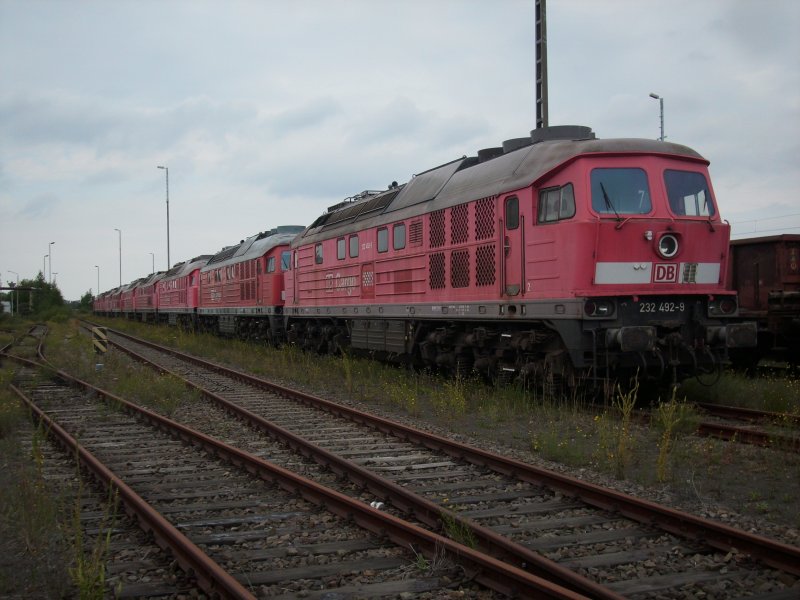Nicht nur am bekannten Abstellort in Mukran stehen 232er,etwas Abseits aber von einer Verbindungsstrae aus zu fotografieren.Der Anfang der Lokschlange machte die zuletzt beim Bw Rostock Seehafen beheimatete 232 492.