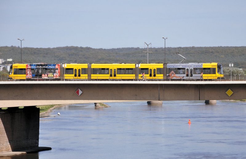 Niederflug-Gelenktriebwagen (Hersteller Bombadier) der DVB auf der Carolabrcke - 31.08.2009