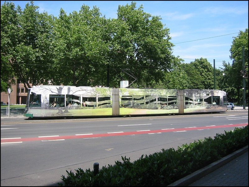 Niederflur-Stra�enbahnwagen 2125 am 13.06.2006 an der Haltestelle Graf-Adolf-Platz. Vor dem Hintergrund der B�ume gesehen hat die (Werbe-?)Beklebung des Wagens fast den Charakter eines Tarnanstrichs.