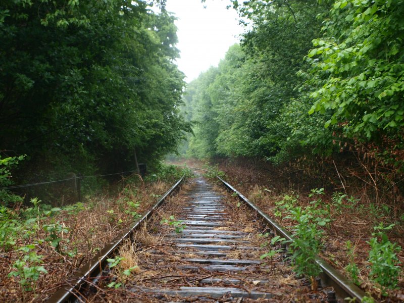  Noch im Dornr�schenschlaf, aber die ersten Schritte sind getan.
Der Verein der Eisenbahnfreunde Grenzland hat die Strecke zwischen Walheim und der belgischen Grenze freigeschnitten um hier bald wieder Z�ge fahren zu lassen. 