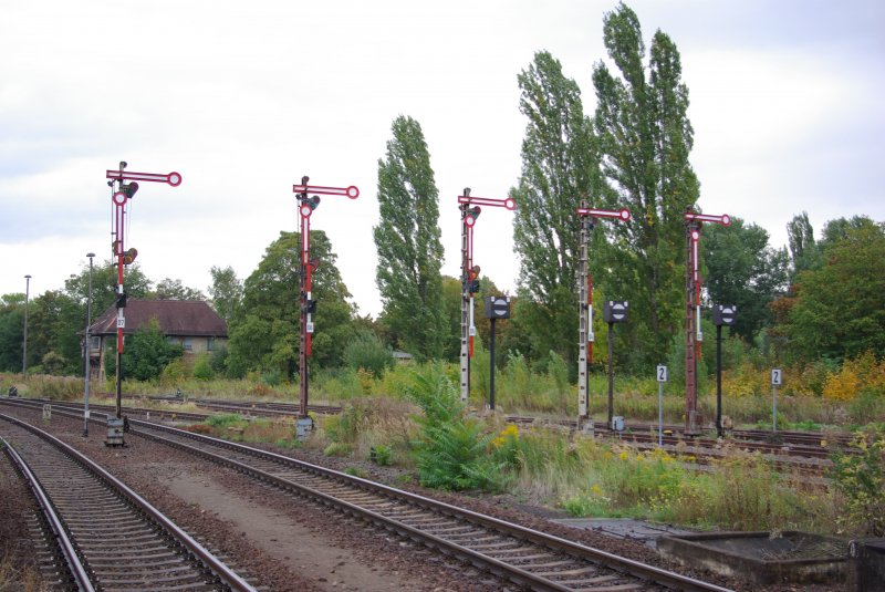 N�rdliche Ausfahrgruppe des Bahnhofs Zeitz mit Fl�gelsignalen. Die Gleise weiter rechts Richtung Bahnhofsgeb�ude werden bereits f�r den Personenverkehr nicht mehr genutzt. Man darf gespannt sein wie lange sie noch von alten Zeiten tr�umen l�sst.

� Jan Schuur 2009 