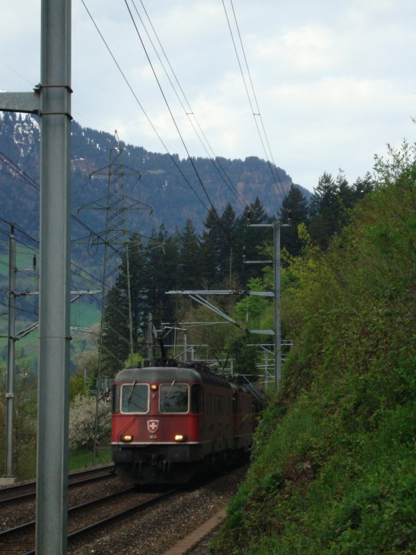 Notschlachtung dieser Re 10/10 mit GZ zwischen Steinen und Arth-Goldau am 02.05.2008
