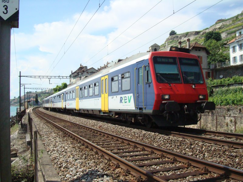 NPZ bei St.Saphorin am 29.06.2008