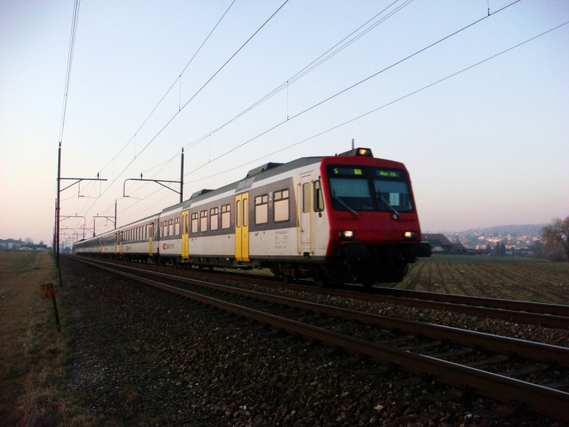 NPZ bei Wohlen am 14.02.2008