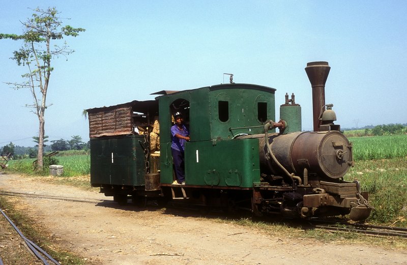 Nr.1  Sragi  14.08.95