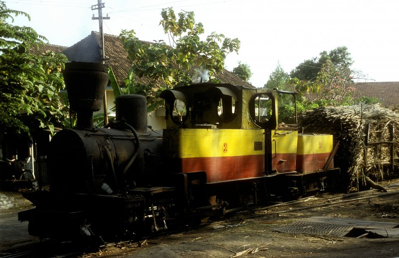 Nr.2  Merican  12.08.04