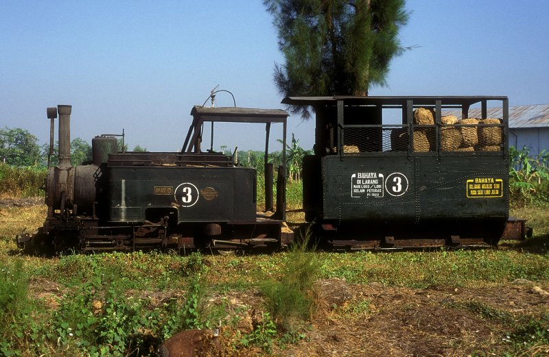 Nr.3  Sragi  14.08.95