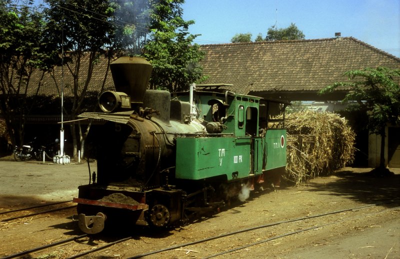 Nr.5  Tasik Madu  09.08.04