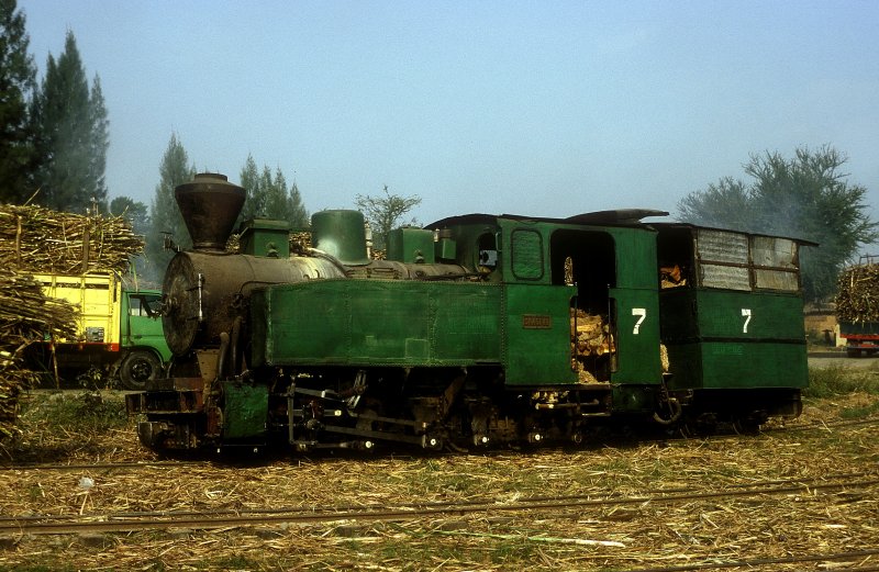 Nr.7  Sragi  06.08.04