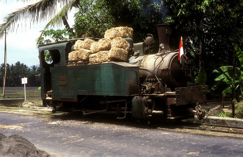 Nr.8  Gondang Baru  17.08.95