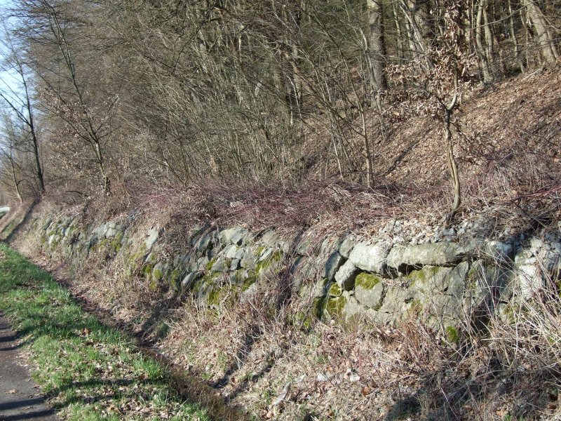 Nur noch das Gleisbett ist brig geblieben von der Strecke Deggendorf Hbf zum Hp Metten. Aufgenommen am 4.3.2007.