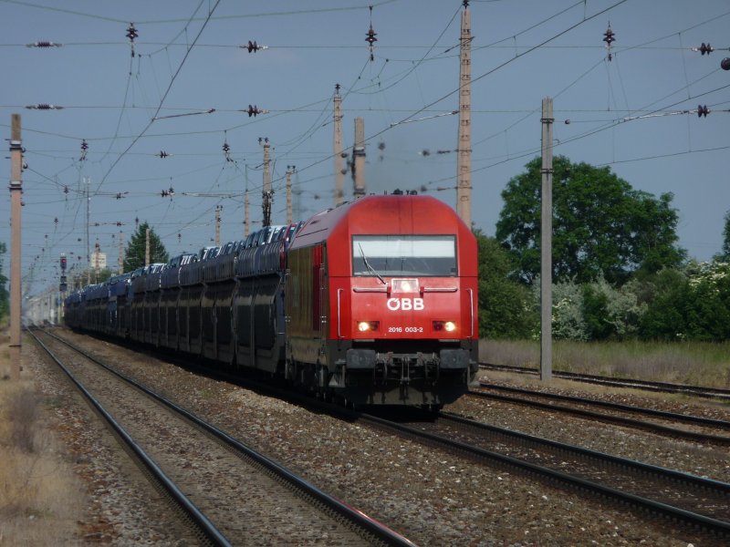 Nur noch wenige Sekunden vor der Bahnhaltestelle Wien S�ssenbrunn befindet sich die 2016 003-2 mit einem Autozug, der mit Peugeot- und Citroen-Fahrzeugen beladen ist. (20.05.09)