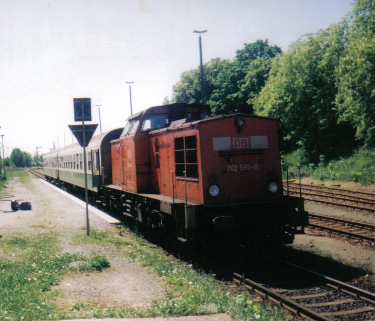 Nur wenige Loks der Baureihe 202 erhielten die verkehrsrote Farbgebung. 202 565 mit einer RB nach Gera im Bahnhof Meltheuer. Bild von Mai 2000.