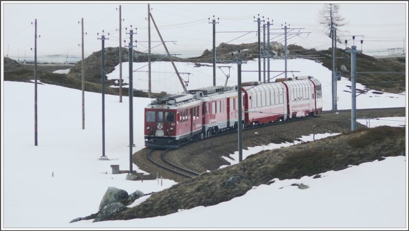 Oberhalb von Bernina Lagalb kommt uns der R1636 mit ABe 4/4 II 43 und ABe 4/4 III 54  Hakone  durch diesen Stangenwald entgegen. (06.05.2009)