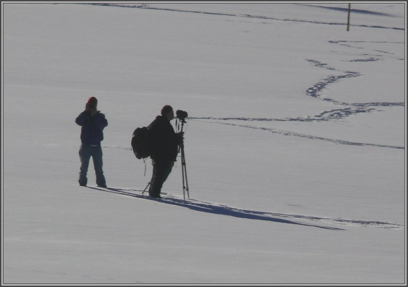 Oberhalb von Zernez habe ich vom fahrenden Regionalzug aus diese zwei Fans abgelichtet, die aber nicht sonderlich interessiert waren an unserem Zug, sondern offensichtlich ihr ganzes Augenmerk dem in Krze nahenden Dampfzug widmeten. (19.02.2008)