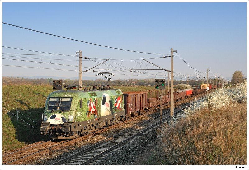 BB 1116 264 (EM-Spinatlok) bespannte am 11.4.2009 den 54605. Hier an der bekannten Stelle bei Gramatneusiedl.