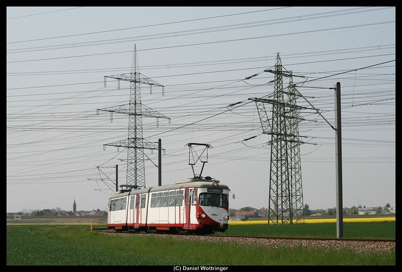OEG 99 auf Linie 4 whrend des Festes  100 Jahre Kfertal-Heddesheim  zwischen Wallstadt und Heddesheim.