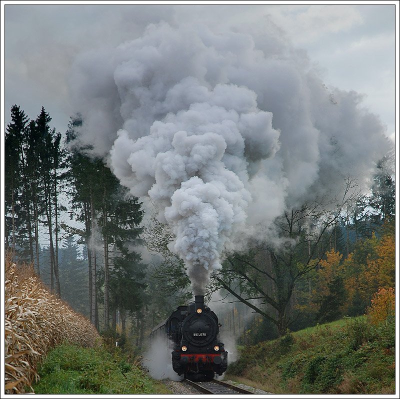 �GEG 657.2770 mit einem Fotopersonenzug, welcher am 4.10.2008 anl�sslich der Ampflwanger Dampftage in Verkehr gesetzt wurde, kurz nach Timelkam aufgenommen.