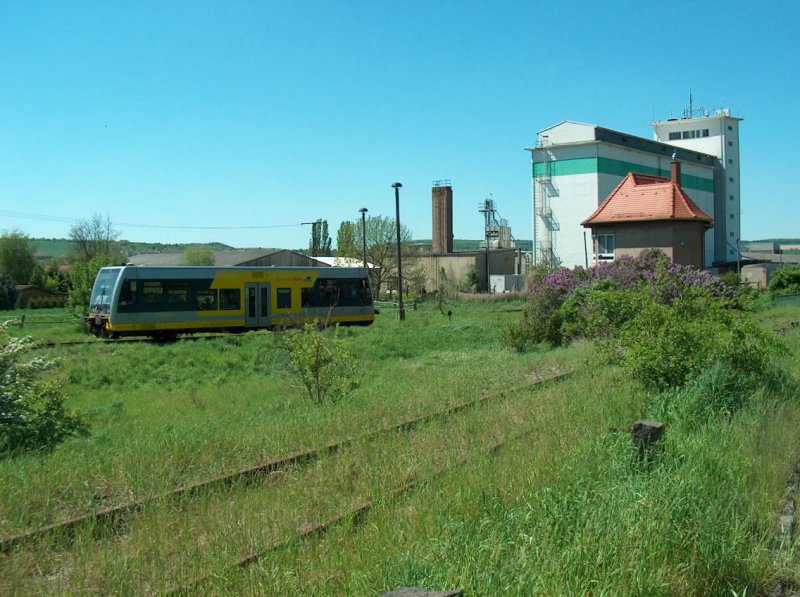 stliche Bahnhofseinfahrt in Vitzenburg. Das Gleis auf dem der Tw der Burgenlanbahn fhrt gehrt zur Unstrutbahn und das zugewachsene Gleis im Vordergrund zur ehemaligen KBS 587 von Vitzenburg nach Querfurt; 10.05.2008