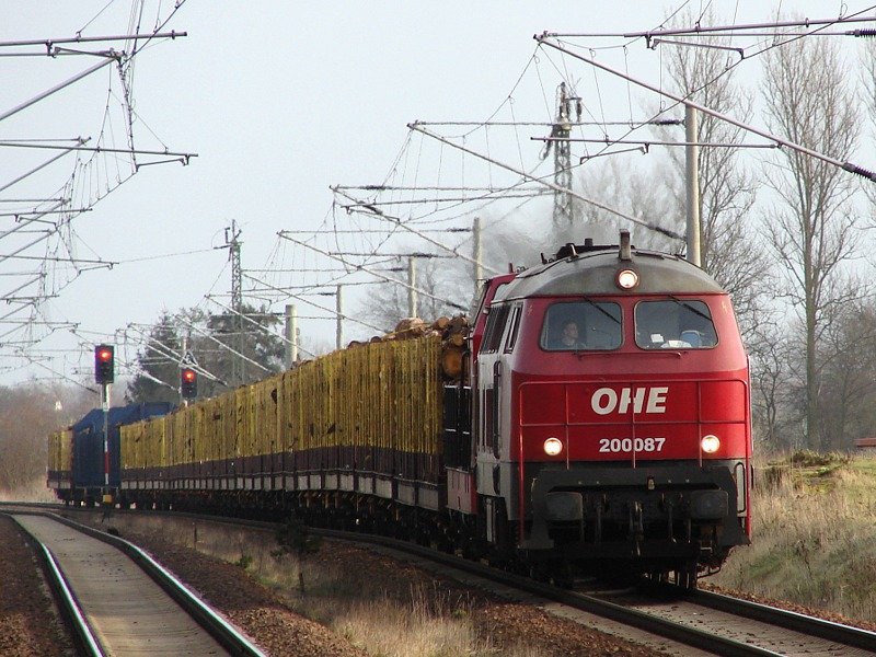 OHE 200087 (ex. DB 216 121) und OHE 120068 bei der Einfahrt in den Haltepunkt Martensdorf (05.01.07)