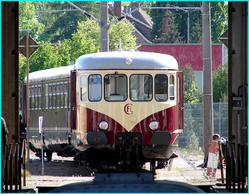 OMB Tag der offenen T�r. Hier ein Hauptakteur- Triebwagen CFL 208 a/b des  Staatlichen  Denkmalpflegeamtes Luxenburg 
(Neustrelitz am 04.05.07)