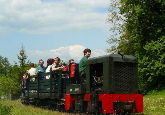 P5 is arriving to Kőrzsa stop.