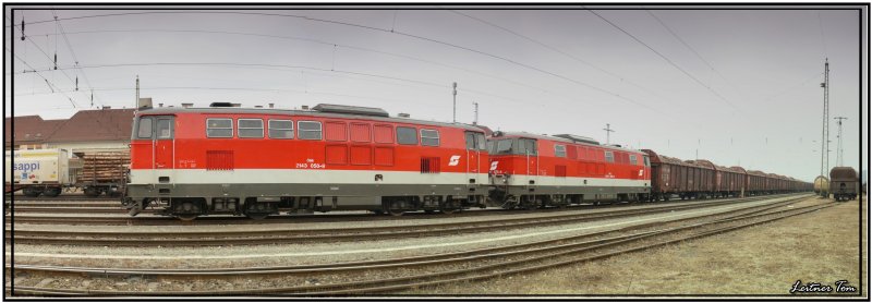 Panorama Foto der Dieselloks 2143 050 + 075 im Bahnhof Knittelfeld
30.1.2008