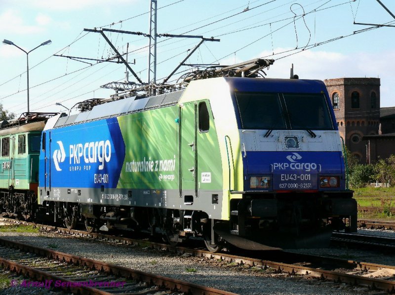 PKP-Cargo hat neue farbenfroh lackierte Loks des Typs TRAXX-F140-MS von Bombardier.
Hier als erste dieser Reihe die EU43-001, die von Bombardier 2007 unter der Fabriknummer 34305 gebaut wurde. 
Erstaunlich ist bei dieser neuen Lok die EDV-UIc Nummer 91 51 627 0000-8. Nicht nur, dass die Baureihenbezeichnung gar keinen Bezug zu EU43 hat, nein vielmehr ndert sich auch noch die laufende Nummer der ersten Lok in der Reihe von 001 in 000.
27.09.2008  Rzepin (Reppen)